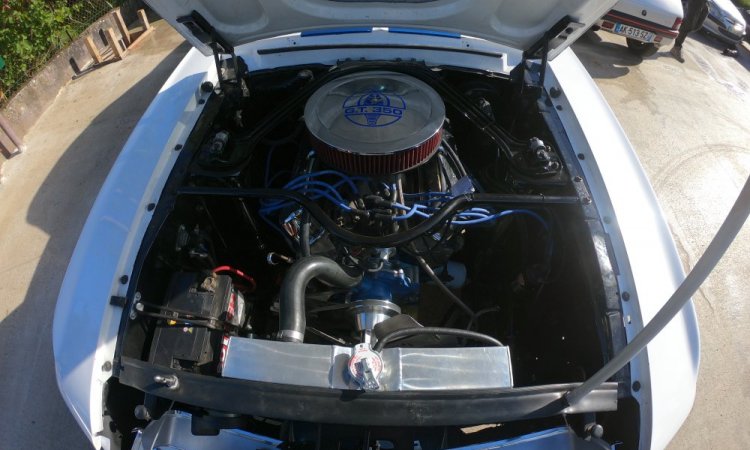 FORD MUSTANG SHELBY